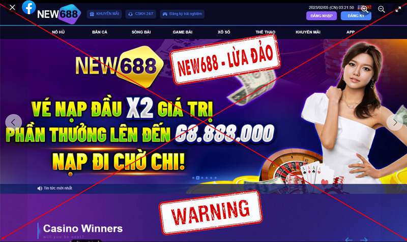 555win