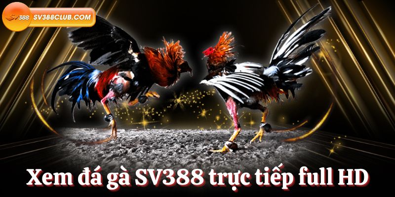 Rikvip.win