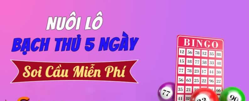 Shbet 88