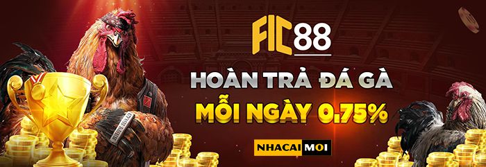 Soi cau 888.vn