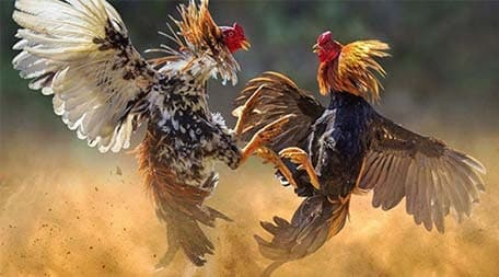 Kết quả xổ số ngày 1 tháng 11