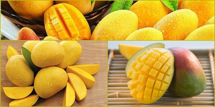 Soi cầu thống kê miền bắc