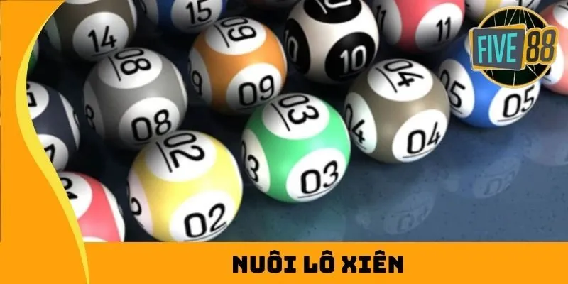 Tải game địt nhau