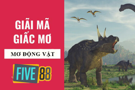Trang chủ m88