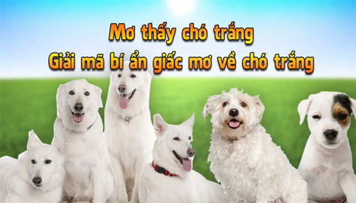 Xổ số 66.com