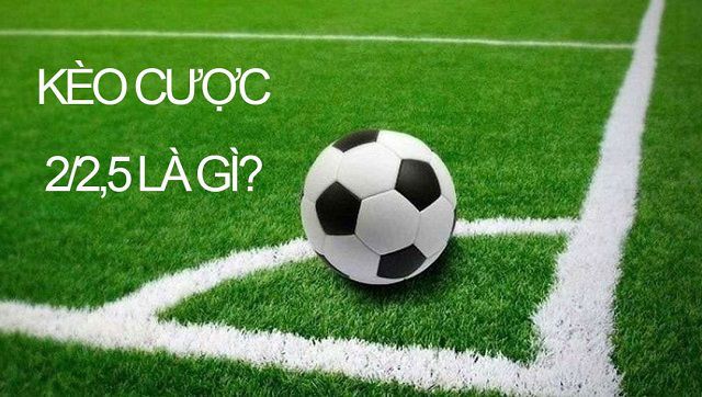 Soi cầu xổ số vip miền bắc