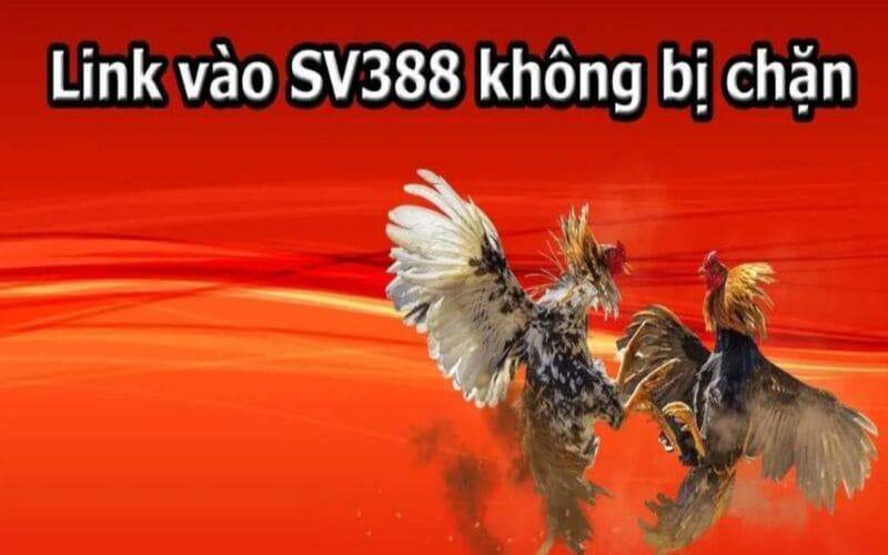 Y8 đua xe mô-tô 2 người