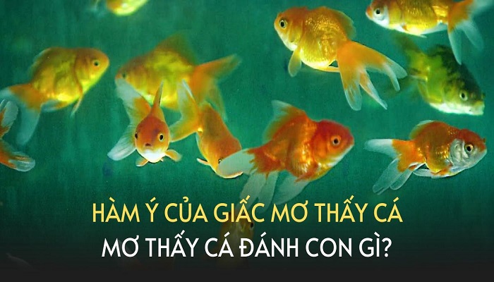 Kết quả xổ số ngày 1 tháng 11