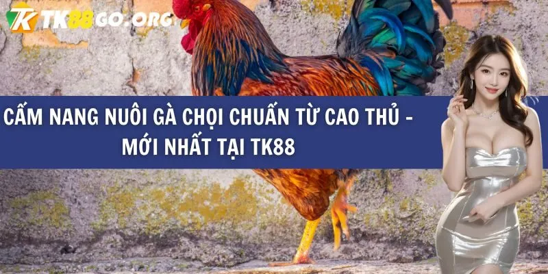Fun88 link đăng nhập
