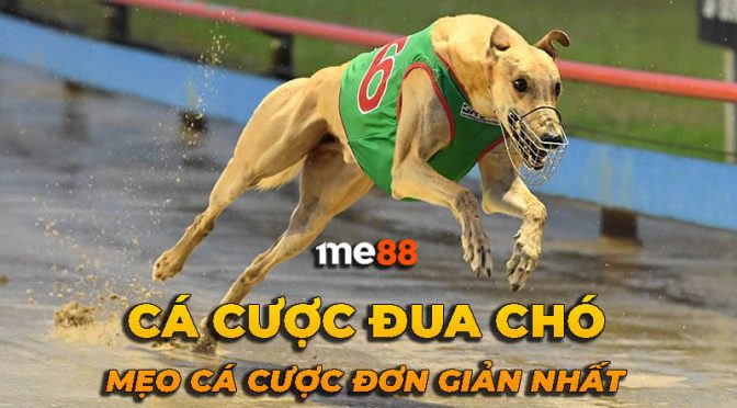 Bong da lu vip