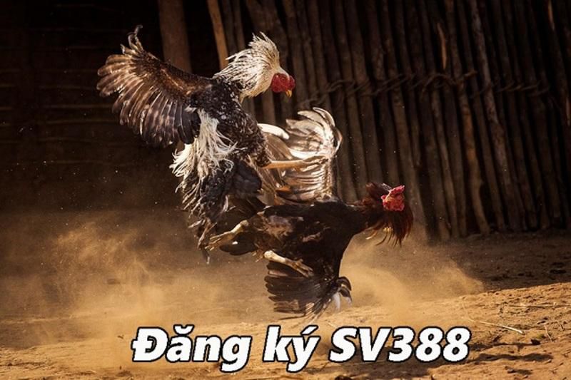 Thong ke tv