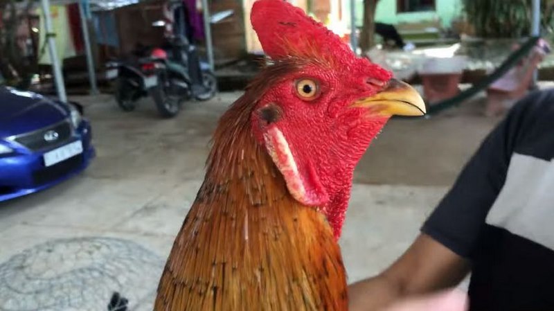 Trang chủ chính thức giải trí f8bet