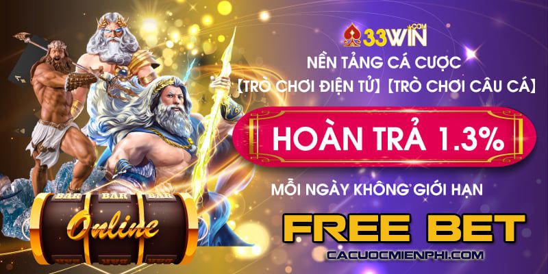 Việt nam đá banh hôm nay