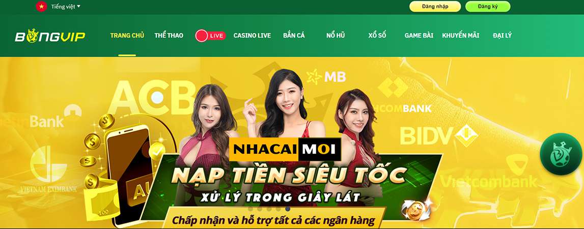Nhà cái hi88