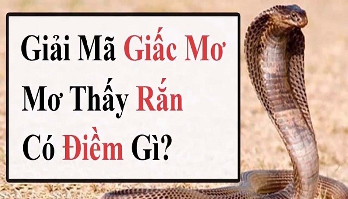 Game bài đổi thưởng kingbets