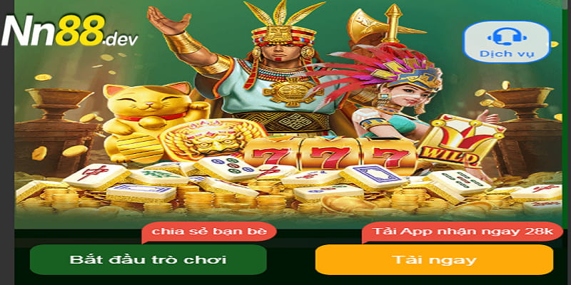 Kq cau lông