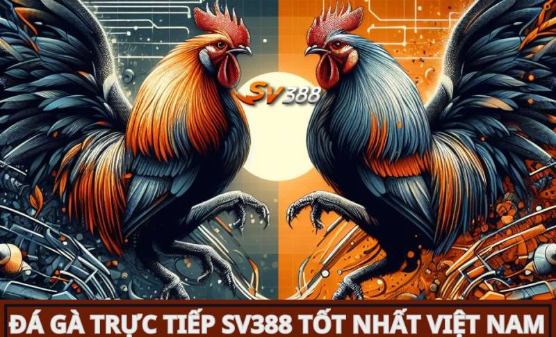 11bet.org