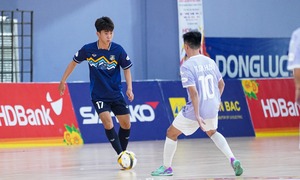 Heo vl vn