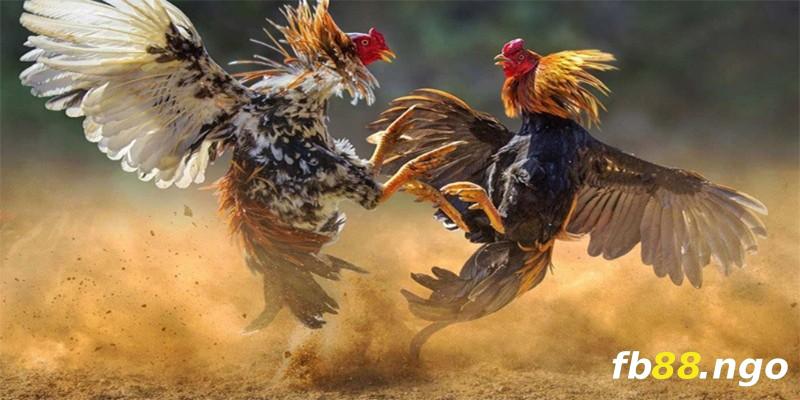 Chốt lô đề miền bắc hôm nay