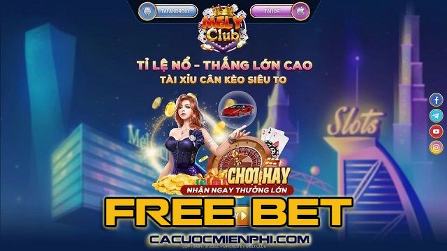 Chỉ vàng bao nhiêu tiền