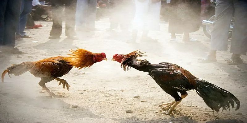 Kqxs phát tiến