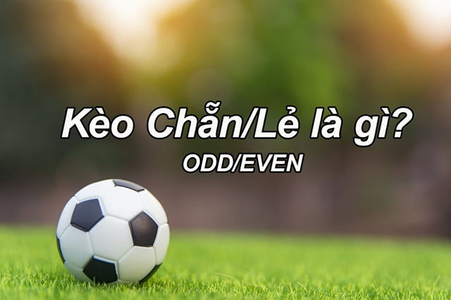 Kèo 1/4 là bao nhiêu