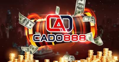 Shbet88. online