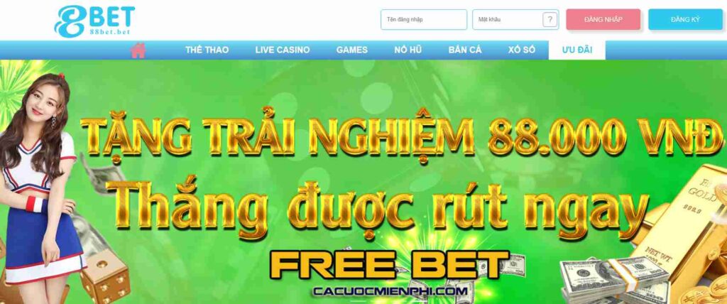 Online live casinos