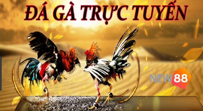Soi cầu miền bắc chính xác hôm nay