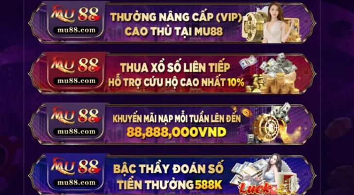 8k bet