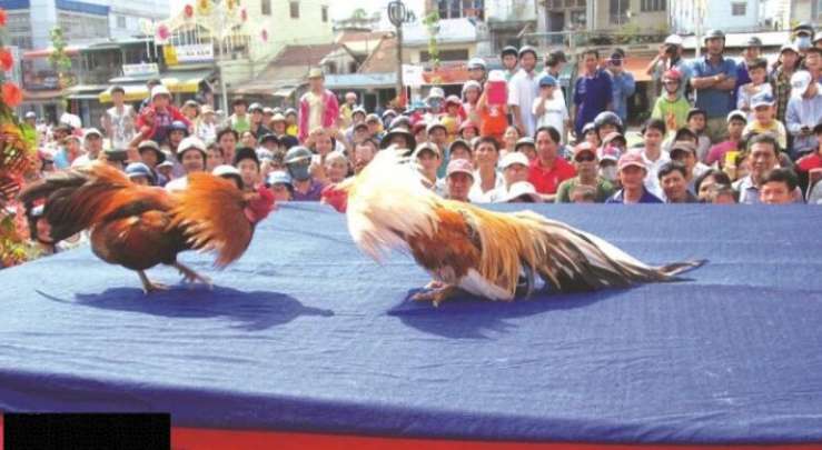 Dép thái lan chính hãng