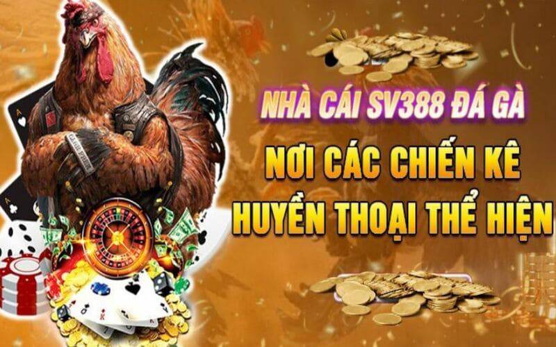 Lô vip mb hôm nay
