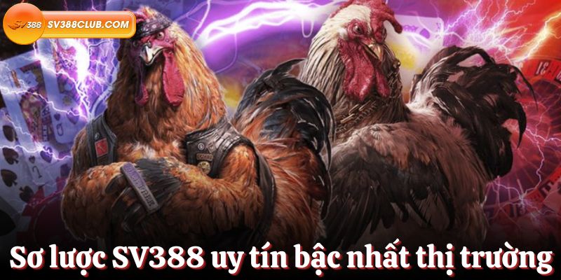 Xs py hom nay
