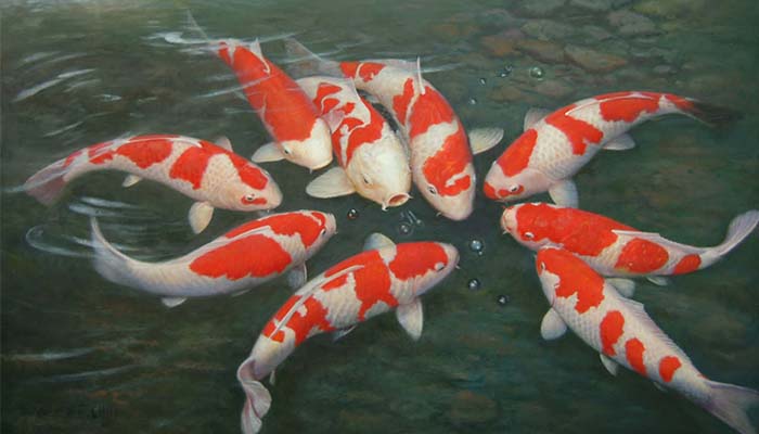 Soi kèo truc tuyen