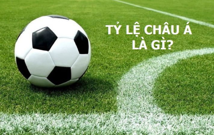 11bet.org