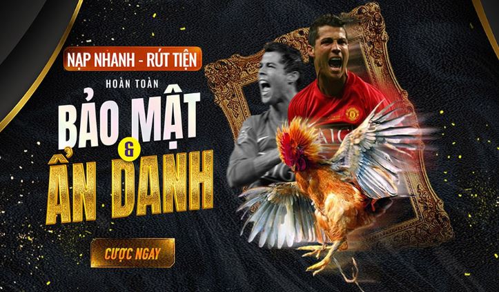 8kbet 8888kbet com