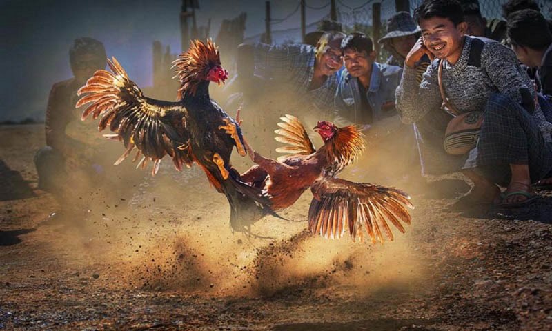 Soi cầu 8888 hôm nay