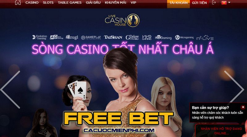 Tiên tri dự đoán bóng đá đêm nay