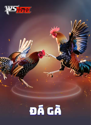 Đá Gà Vàng Ròng