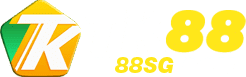 Tủ nhựa duy tân 2 cánh người lớn - Okking